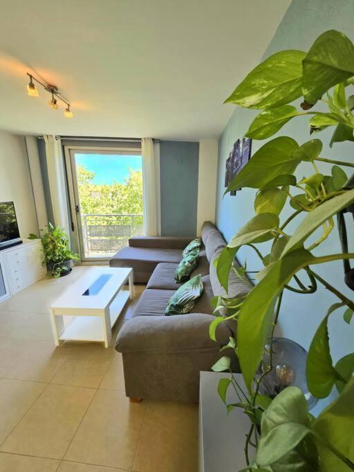 Apartamento Pont De Ferro Sun Flat Benicàssim Exterior foto